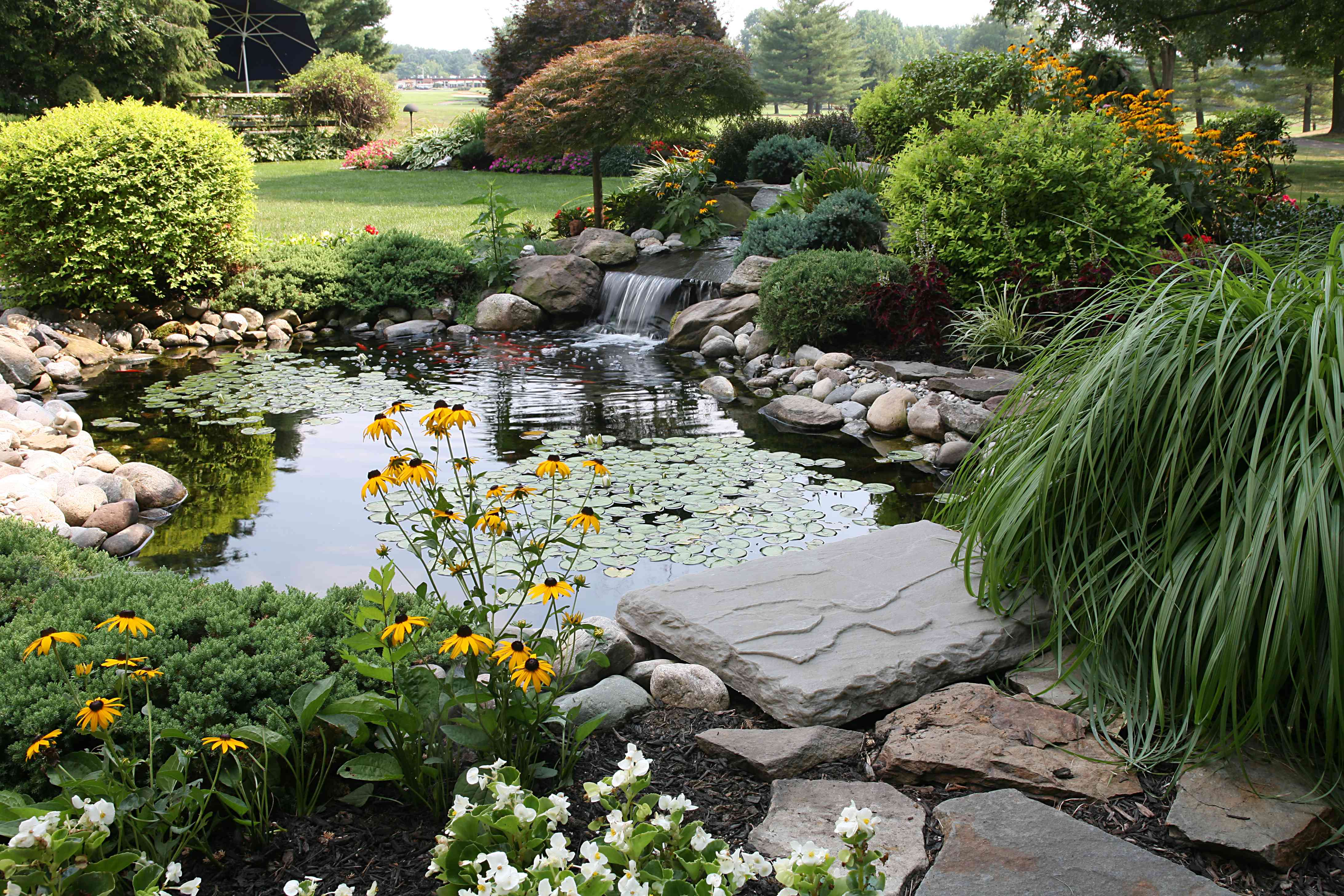 Beautiful professionally landscaped garden with koi pond
